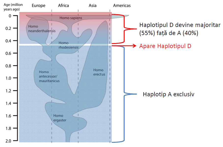 Haplotype FADS1-2
